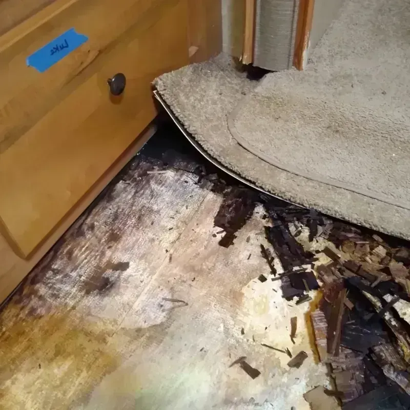 Wood Floor Water Damage in Weldon, NC